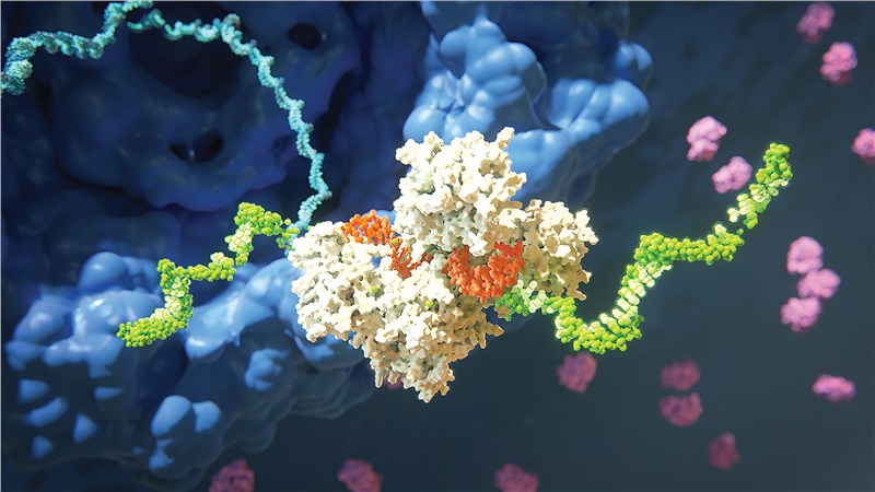 Ligand-targeted Delivery for RNAi